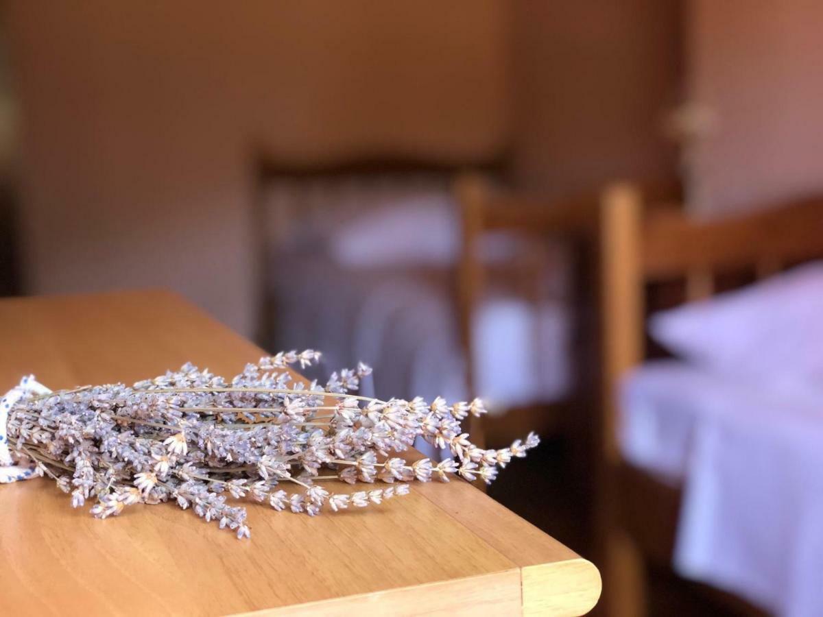 Holiday Home Villa Kastel Zrnovo Buitenkant foto